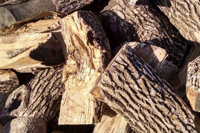 ASH FIREWOOD